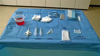 US-Guided Biopsies: Overarching Principles